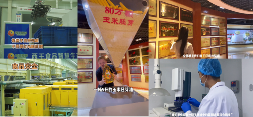 達人深入西王食品,溯源直擊工廠內部