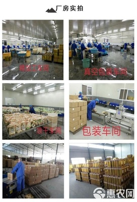工廠供應1兩以下一級油菜花農工種植露天種植花冠小油菜
