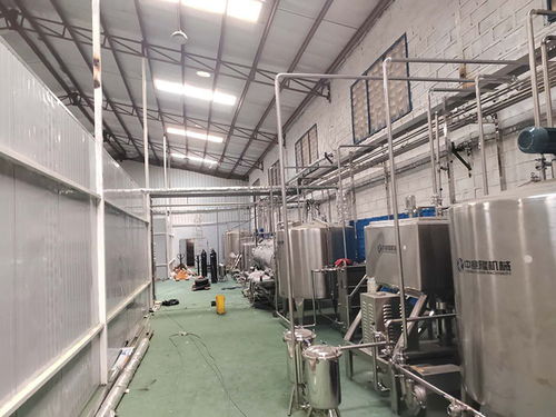 麥芽汁發(fā)酵格瓦斯飲料設(shè)備 燈籠果飲料加工生產(chǎn)線 廠家供應(yīng)